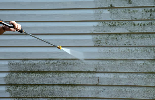 Trusted Los Molinos, CA  Pressure Washing Services Experts